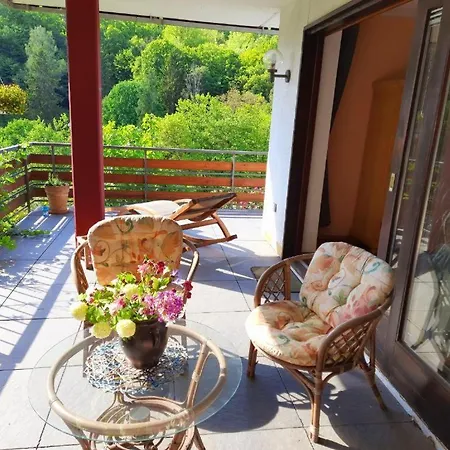 Work Und Rest Am Wildgehege - Monteur&flex Mit Großer Terrasse Apartment